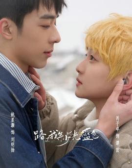 路过我年少时光(全集)