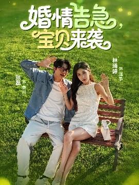 婚情告急，宝贝来袭(全集)