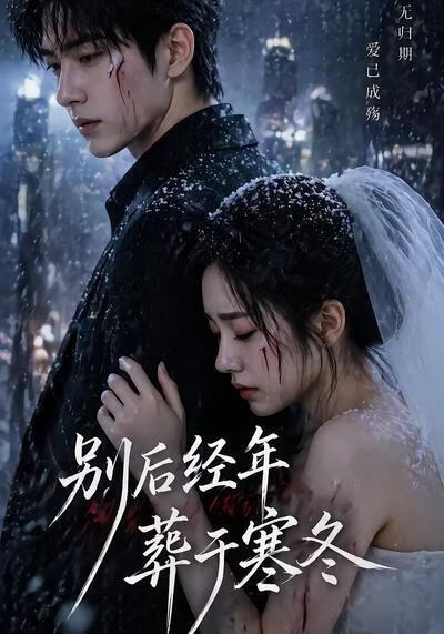 别后经年，葬于寒冬(全集)