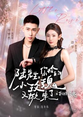 陆先生，你捡的小玫瑰又掀桌了之荆棘玫瑰(全集)