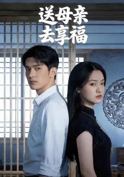 送母亲去享福(全集)