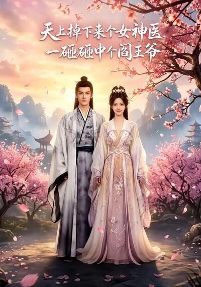 天上掉下来个女神医，一砸砸中个阎王爷(全集)