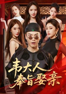 韦大人奉旨娶亲(全集)