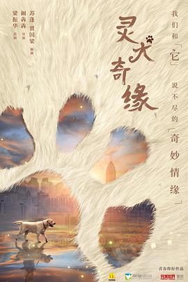 灵犬奇缘(全集)