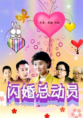 闪婚总动员(全集)