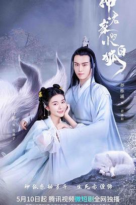 小白狐追夫记(全集)