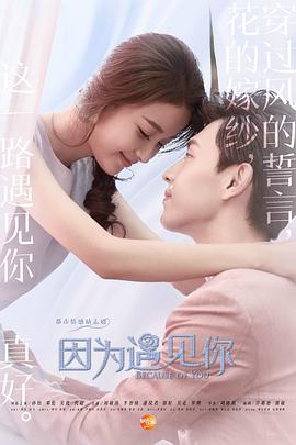 因为遇见你[DVD版](全集)
