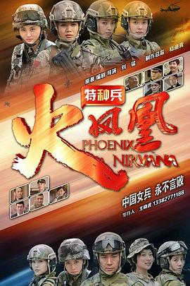 特种兵之火凤凰[DVD版](全集)