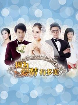 因为爱情有晴天[DVD版](全集)