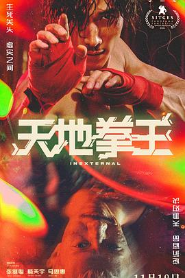 天地拳王（粤语版）(全集)