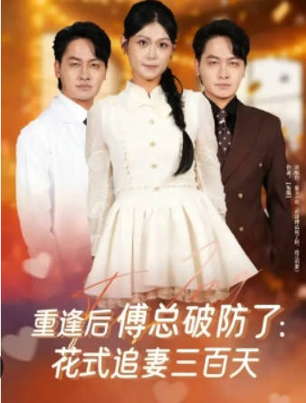 重逢后傅总破防了：花式追妻三百天(全集)