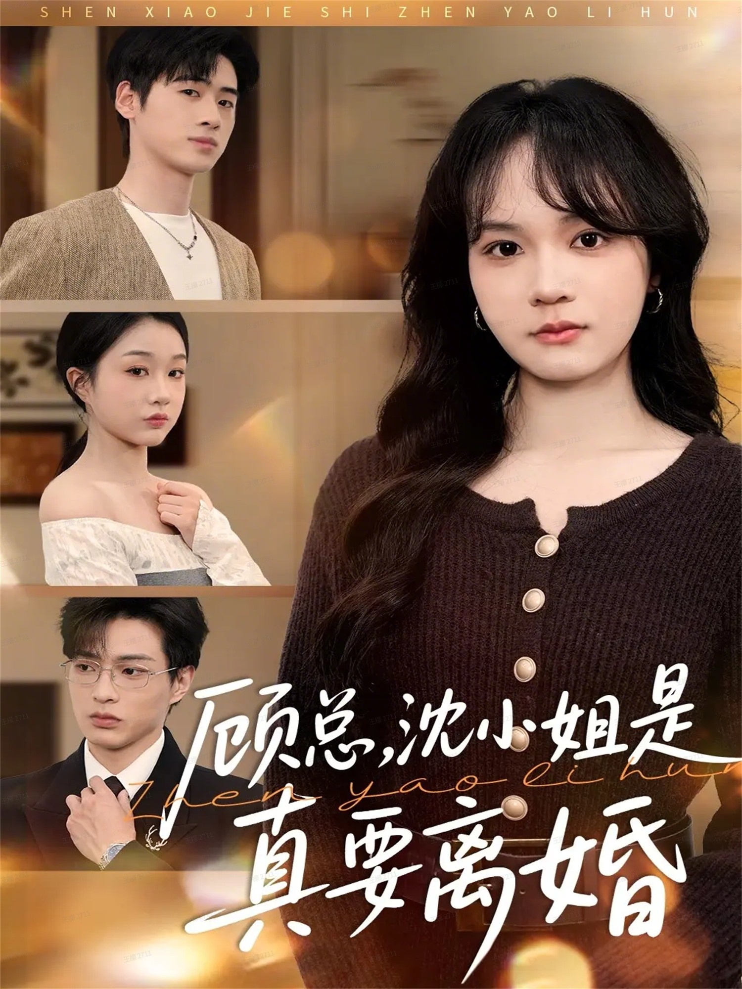 顾总-沈小姐是真的要离婚(全集)
