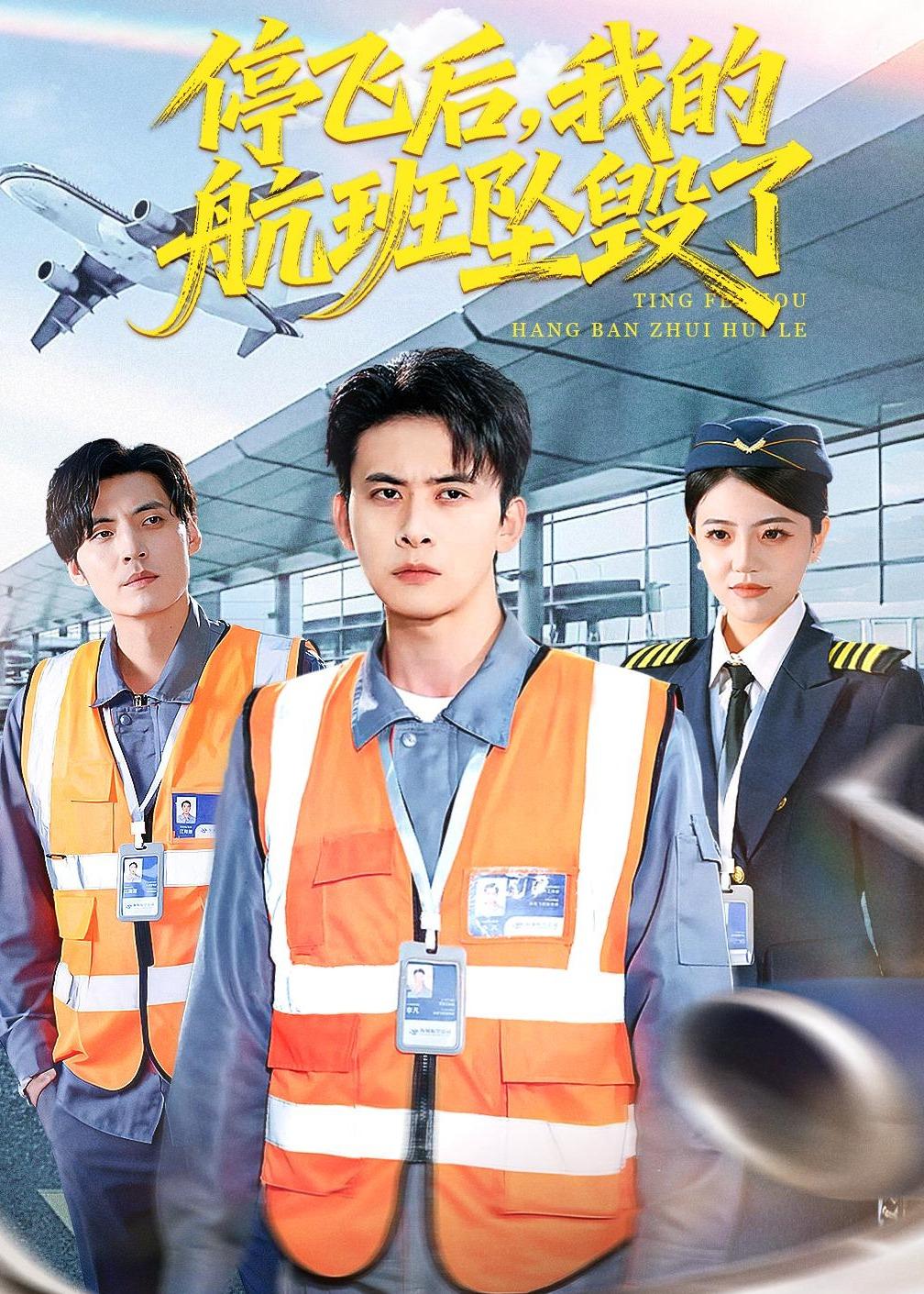 停飞后-我的航班坠毁了(全集)