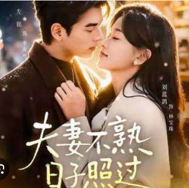 夫妻不熟-日子照过(全集)