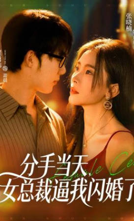 分手当天-女总裁逼我闪婚了(全集)