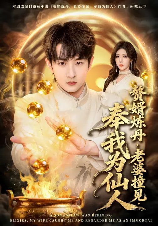 赘婿炼丹，老婆撞见奉我为仙人(全集)