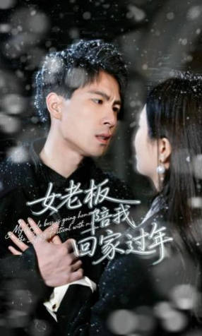 女老板陪我回家过年(全集)
