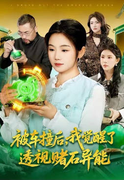 被车撞后-我觉醒了透视赌石异能了(全集)