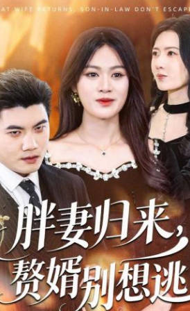 胖妻归来-赘婿别想逃(全集)