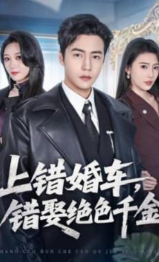 上错婚车-错娶绝色千金(全集)