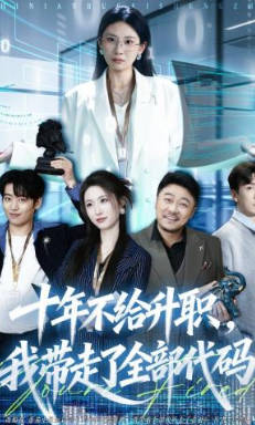十年不给升职-我带走了全部代码(全集)