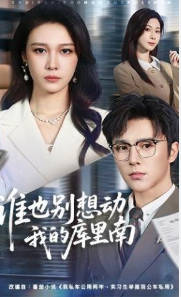 谁也别想动我的库里南(全集)