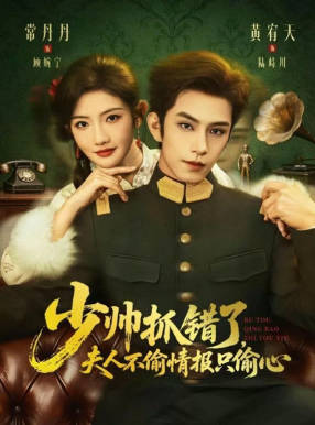 少帅抓错了-夫人不偷情报只偷心(全集)