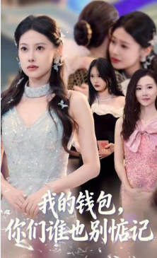 我的钱包-你们谁也别惦记(全集)