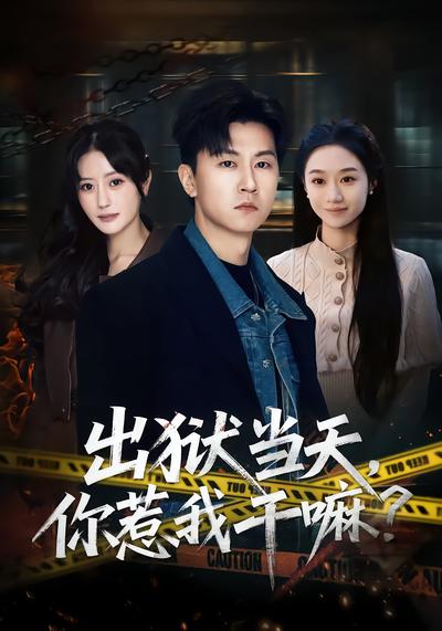 出狱当天，你惹我干嘛(全集)