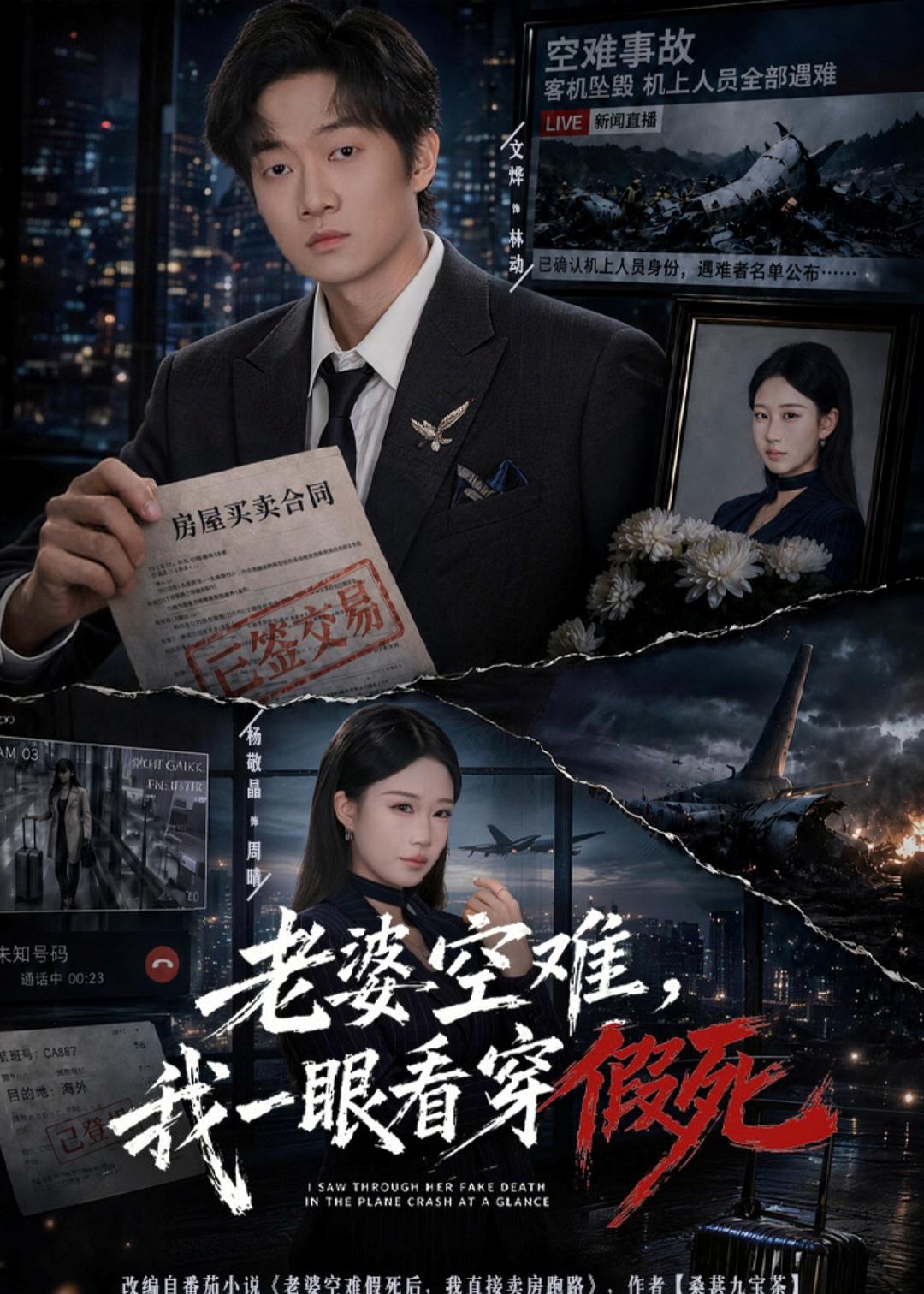 老婆空难：我一眼看穿假死(全集)