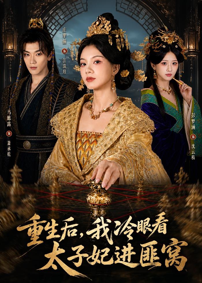 重生后：我冷眼看太子妃进匪窝(全集)