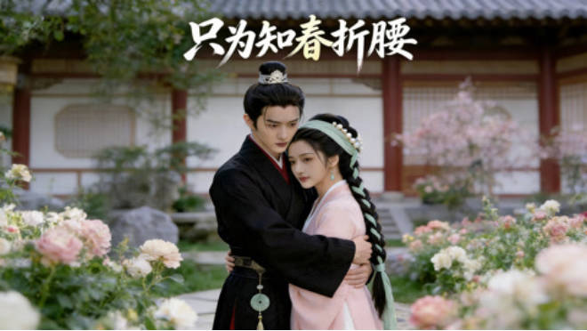 只为知春折腰 Ai(全集)