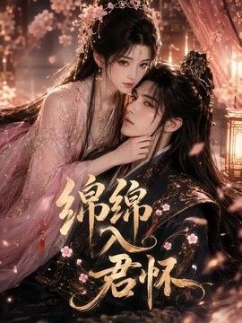 绵绵入君怀(全集)