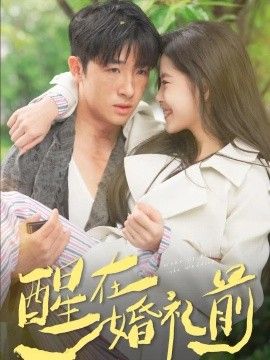 醒在婚礼前(全集)