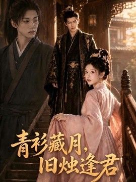 青衫藏月，旧烛逢君(全集)