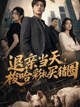 退亲当天，梭哈彩礼买猪圈(全集)