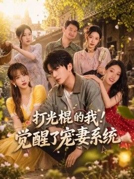 打光棍的我！觉醒了宠妻系统(全集)