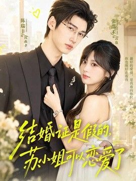 结婚证是假的，苏小姐可以恋爱了(全集)