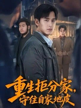 重生拒分家，守住自家地皮(全集)