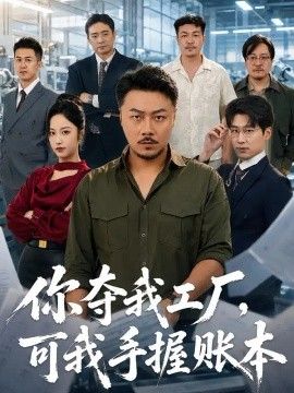 你夺我工厂，可我手握账本(全集)