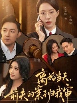 离婚当天，前夫的案子归我审(全集)