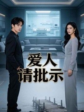爱人请批示(全集)