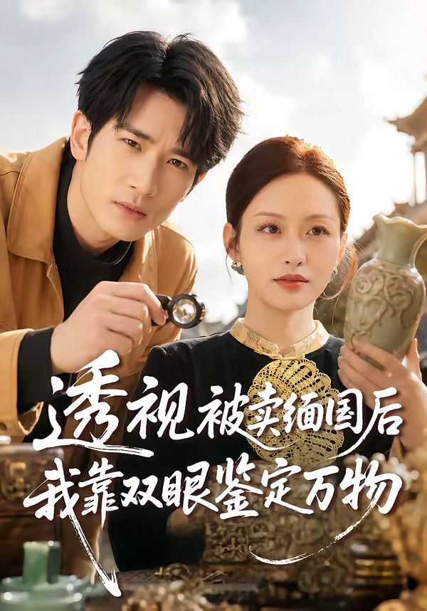 透视被卖缅国后我靠双眼鉴定万物(全集)