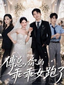 傅总，你的乖乖女跑了(全集)