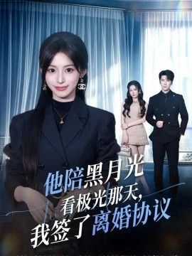 他陪黑月光看极光那天，我签了离婚协议(全集)