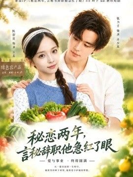 秘恋两年，言秘辞职他急红了眼(全集)