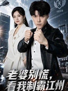 老婆别慌，看我制霸江州(全集)