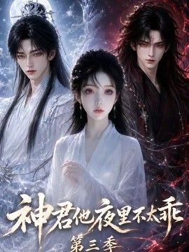 神君他夜里不太乖第三季(全集)