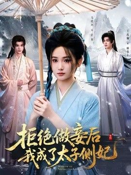 拒绝做妾后我成了太子侧妃（一纸离人愁）(全集)