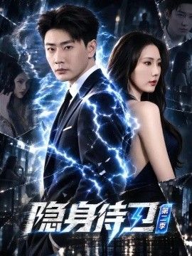 隐身侍卫第二季(全集)